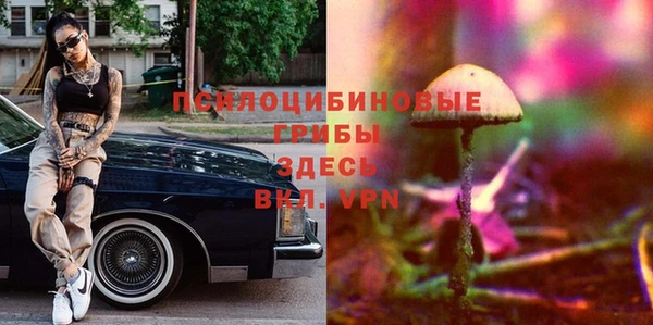 винт Наволоки