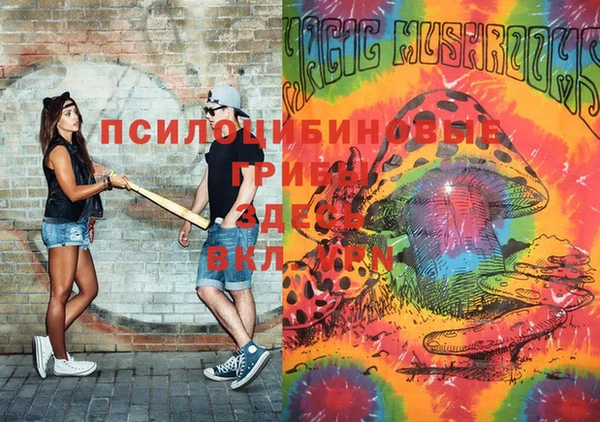 винт Наволоки