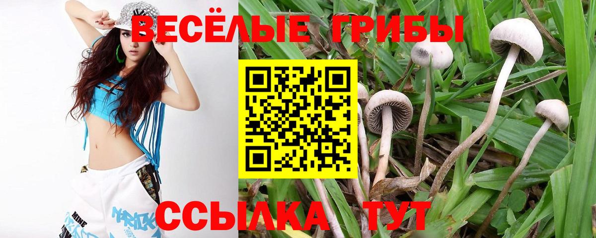Псилоцибиновые грибы мухоморы Сосновый Бор