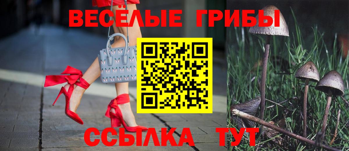 Сосновый Бор  Галлюциногенные грибы мицелий  Галлюциногенные грибы Psilocybe  Вход с VPN 